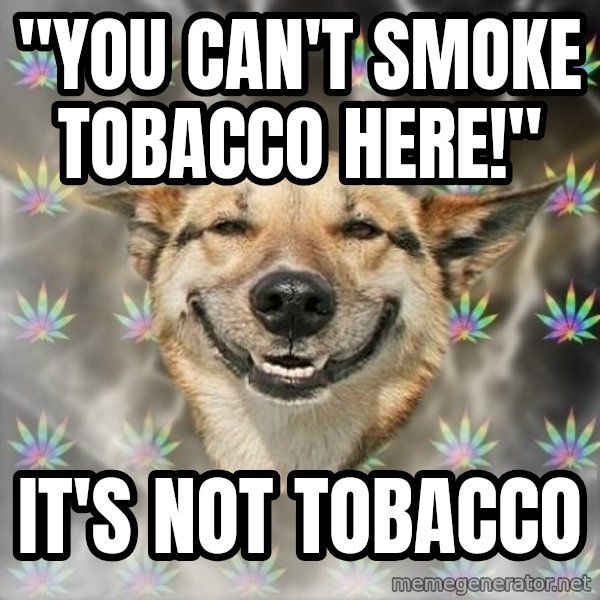 Stoner Dog meme: ''You can't smoke tobacco here!'' / it's not tobacco