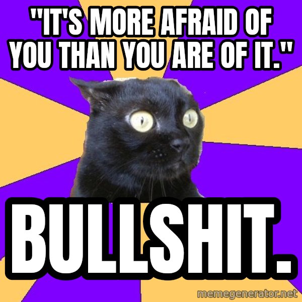 Anxiety Cat meme: "it's more afraid of you than you are of it." / BULLSHIT.