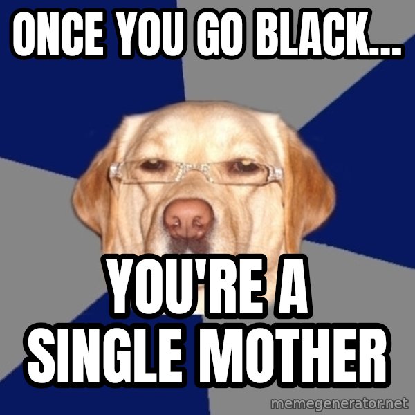 Racist Dog meme: once you go black... / you're a single mother