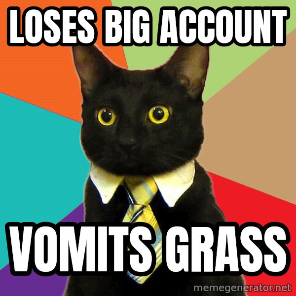 Business Cat meme: loses big account / vomits grass