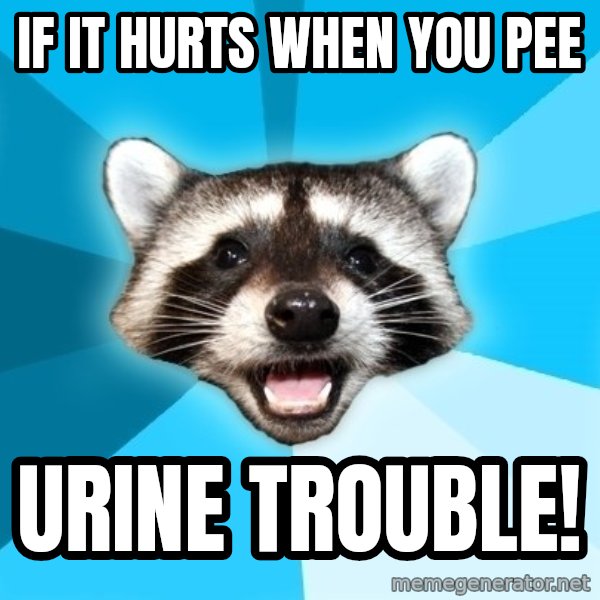 Lame Pun Coon meme: If it Hurts When you pee / Urine trouble!