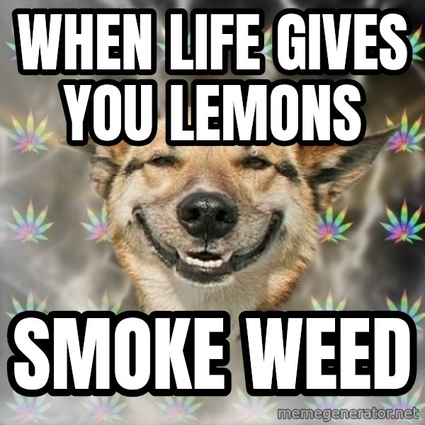 Stoner Dog meme: when life gives you lemons / smoke weed