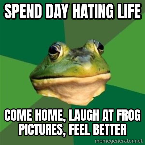 Foul Bachelor Frog meme: spend day hating life / come home, laugh at frog pictures, feel better