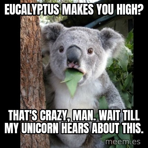 Koala can't believe it meme: Eucalyptus makes you high? / that's crazy, man. wait till my unicorn hears about this.
