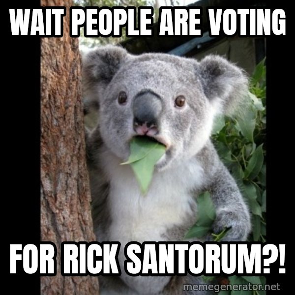Koala can't believe it meme: wait people are voting / for rick santorum?!