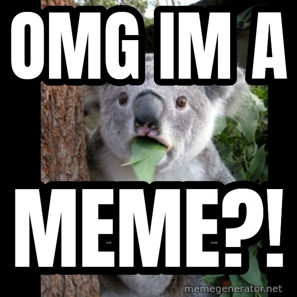 Koala can't believe it meme: omg im a / meme?!
