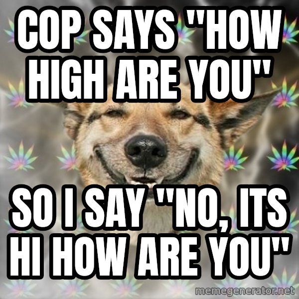 Stoner Dog meme: Cop says "how high are you" / so i say "No, its hi how are you"