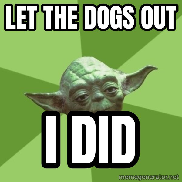 Advice Yoda Gives meme: Let the dogs out / I did