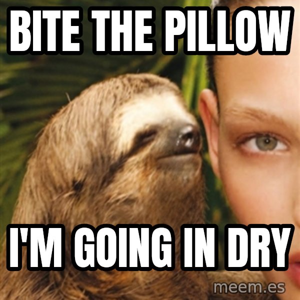 The Rape Sloth meme: bite the pillow / i'm going in dry