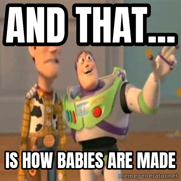 X, X Everywhere  meme: And that... / is how babies are made