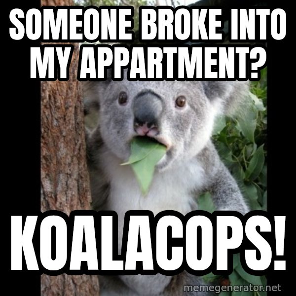 Koala can't believe it meme: Someone broke into my appartment? / Koalacops!