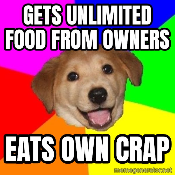 Advice Dog meme: Gets unlimited food from owners / eats own crap