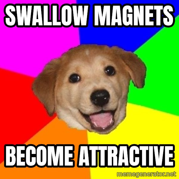 Advice Dog meme: Swallow magnets / Become attractive