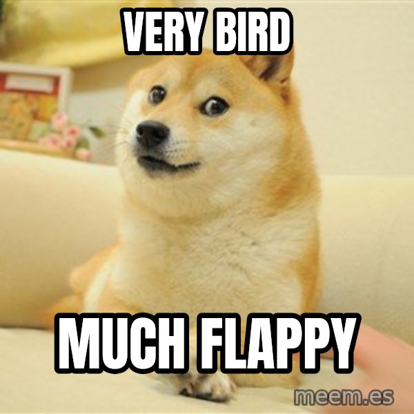 so doge meme: very bird / much flappy