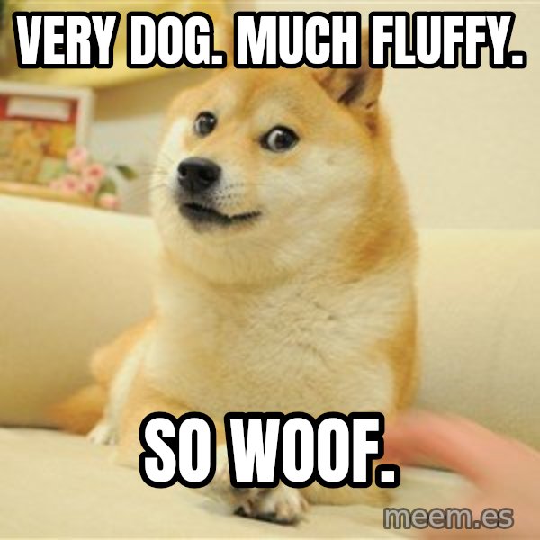 so doge meme: very dog. much fluffy. / so woof.