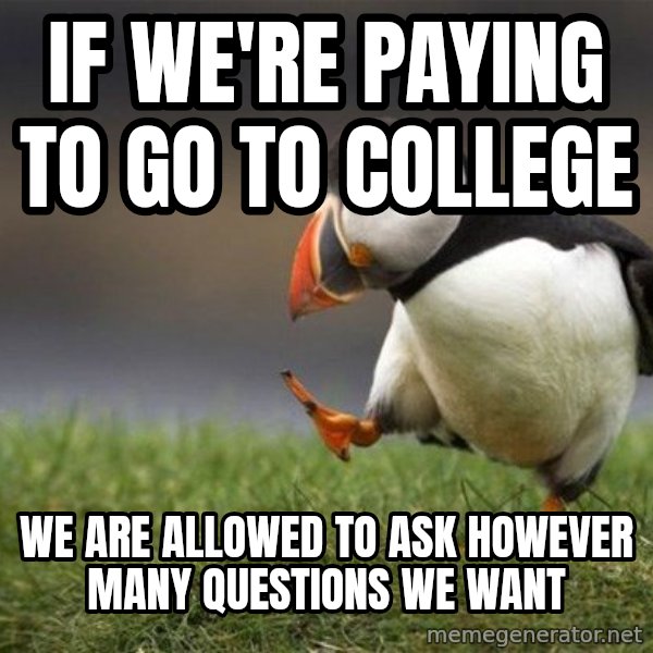 Unpopular Opinion Puffin meme: If we're paying to go to college / We are allowed to ask however many questions we want