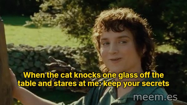 All Right Then, Keep Your Secrets meme: When the cat knocks one glass off the table and stares at me: keep your secrets