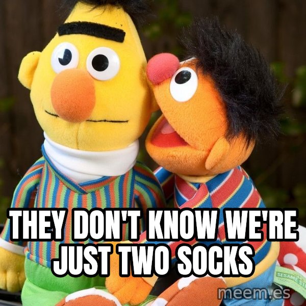 Ernie Whispers To Bert meme: They don't know we're just two socks