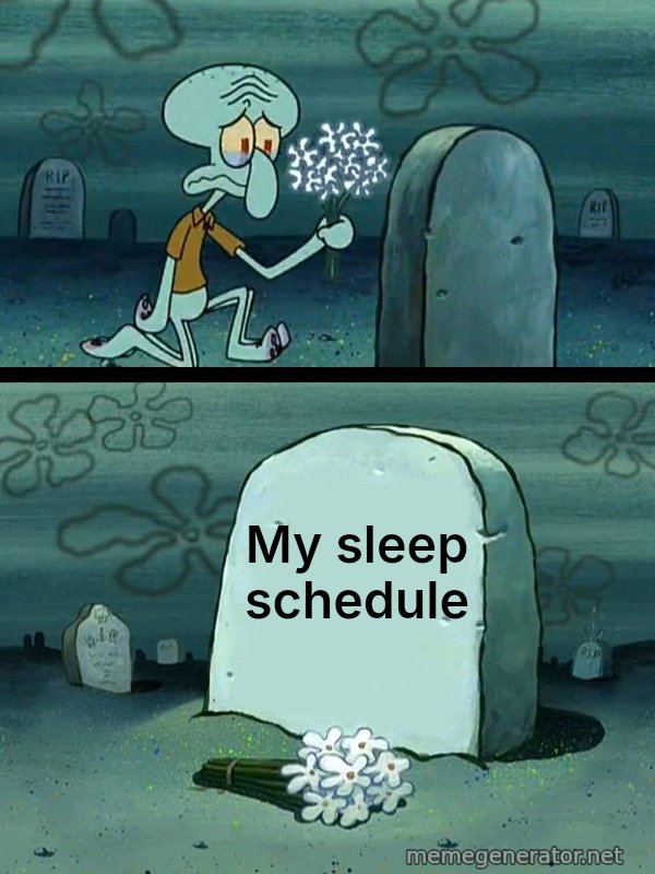 Here Lies Squidward's Hopes and Dreams meme: My sleep schedule